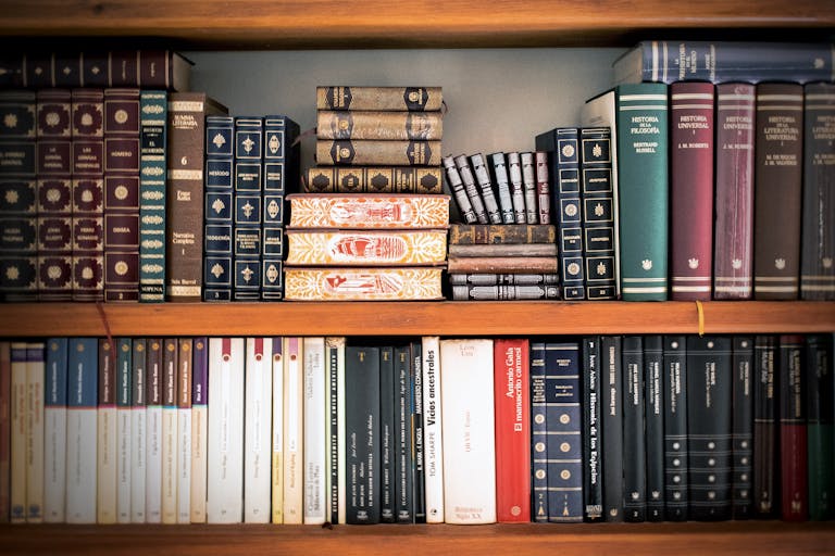 A detailed view of a bookshelf with vintage and classic books arranged neatly, offering a historic ambiance.